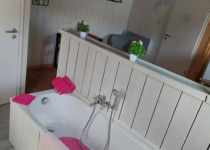 La Petite Suisse 3* 马尔梅迪